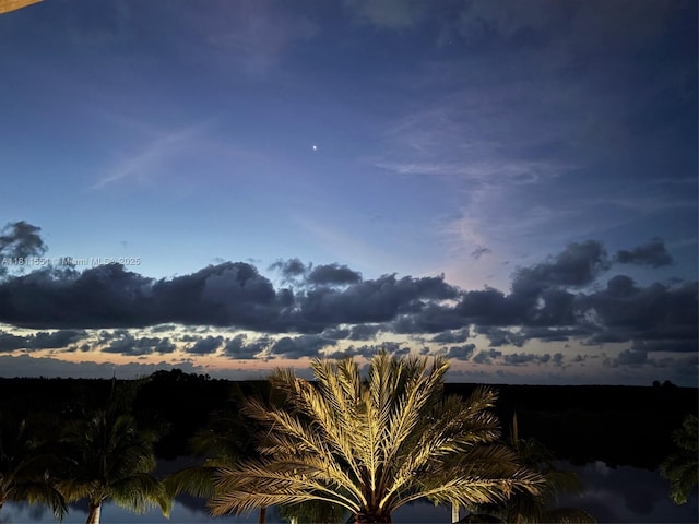 13627 Deering Bay Dr Unit 402, Coral Gables, FL 33158 - water view