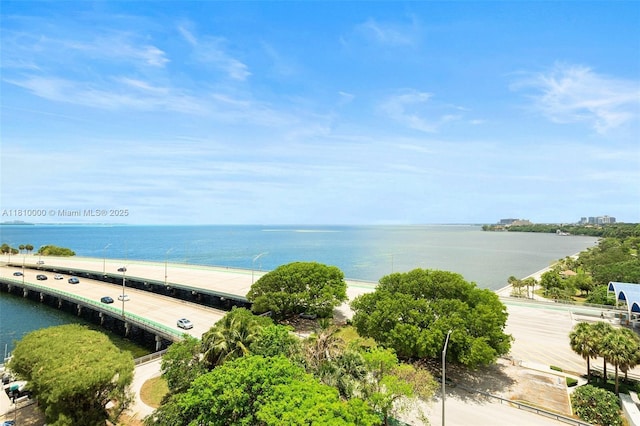 150 SE 25th Rd Unit 10K, Miami, FL 33129 - water view