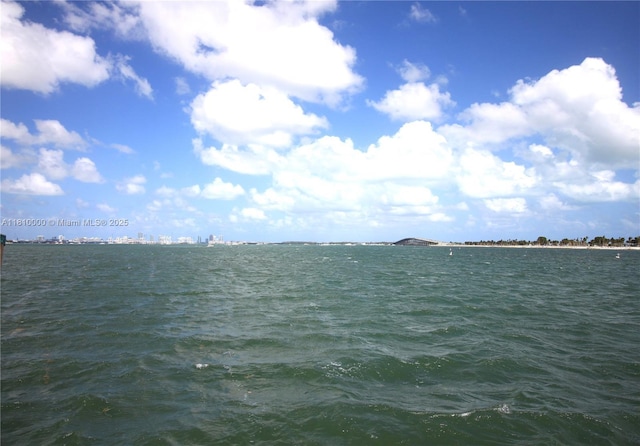 150 SE 25th Rd Unit 10K, Miami, FL 33129 - water view