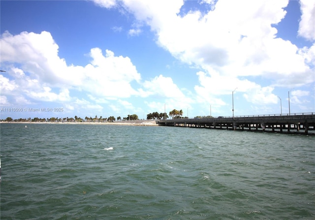 150 SE 25th Rd Unit 10K, Miami, FL 33129 - water view