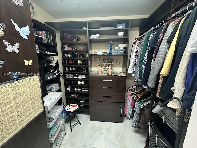 13700 SW 14th St Unit 412D, Pembroke Pines, FL 33027 - view of walk in closet