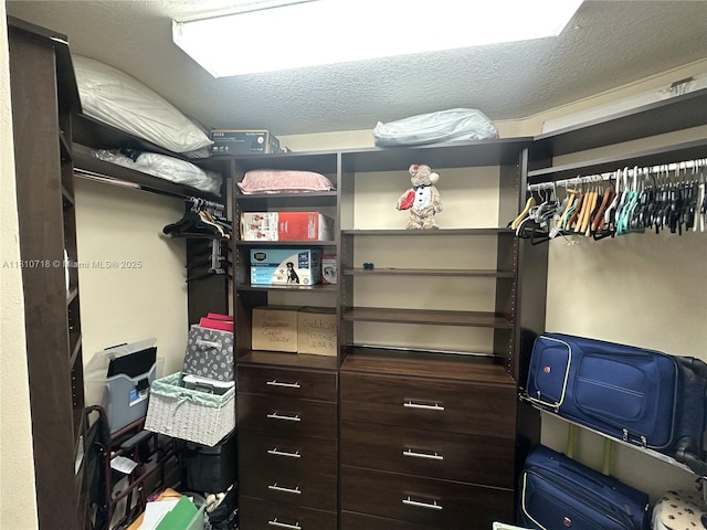13700 SW 14th St Unit 412D, Pembroke Pines, FL 33027 - view of spacious closet