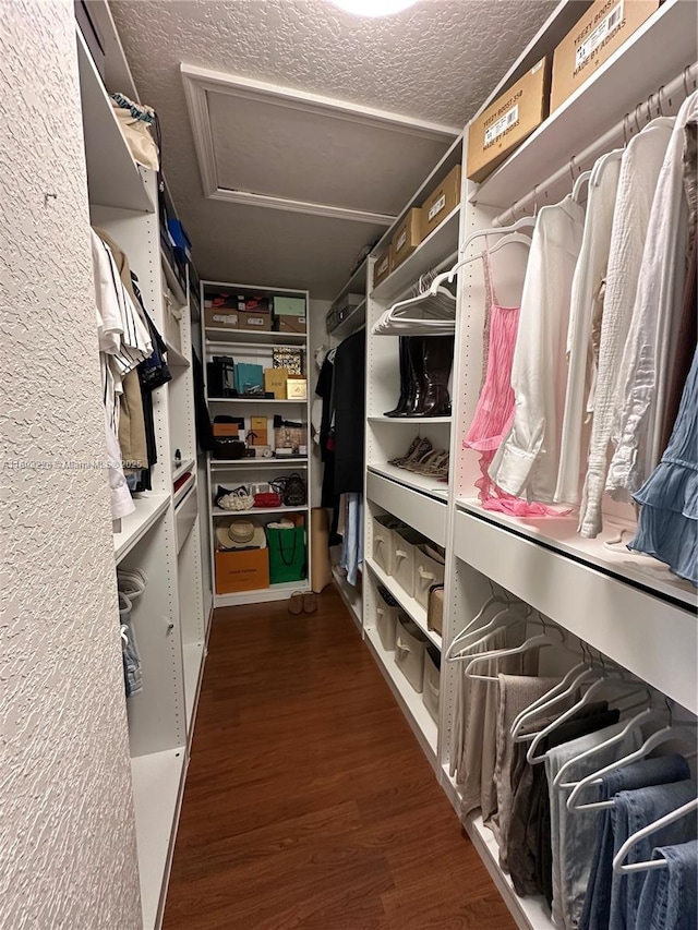 12464 SW 42nd St, Miramar, FL 33027 - walk in closet featuring attic access and wood finished floors