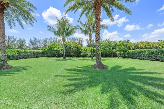 20120 SW 133rd Ave, Miami, FL 33177 - view of grassy yard