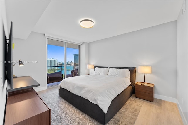 16385 NE Biscayne Blvd Unit 1901Storage, North Miami Beach, FL 33160 - bedroom featuring light wood-style flooring, access to exterior, and baseboards
