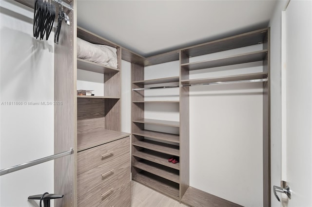 16385 NE Biscayne Blvd Unit 1901Storage, North Miami Beach, FL 33160 - view of walk in closet