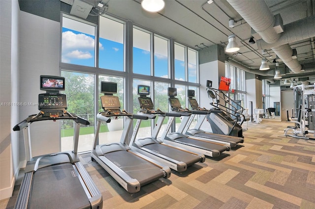 16385 NE Biscayne Blvd Unit 1901Storage, North Miami Beach, FL 33160 - exercise room with carpet floors and a towering ceiling