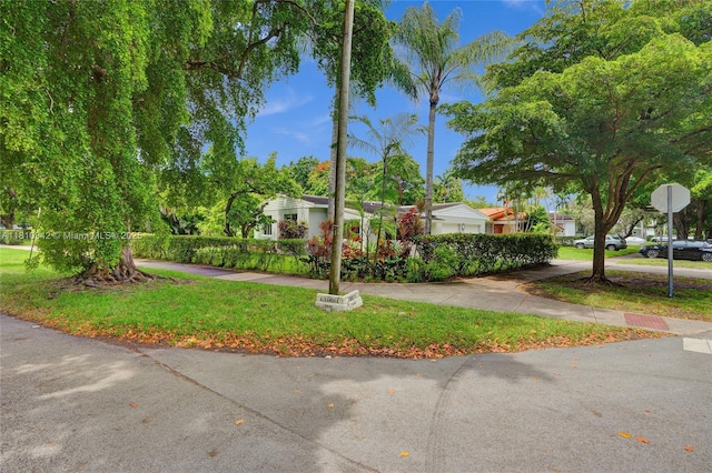 5620 Alhambra Cir, Coral Gables, FL 33146 - view of property hidden behind natural elements featuring a front lawn and a residential view