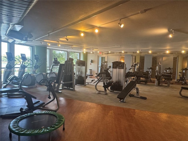 2641 N Flamingo Rd Unit 1001N, Sunrise, FL 33323 - exercise room featuring track lighting and carpet