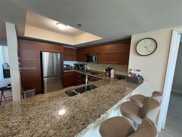 2641 N Flamingo Rd Unit 1001N, Sunrise, FL 33323 - kitchen with stainless steel appliances, a sink, light stone counters, a tray ceiling, and a peninsula