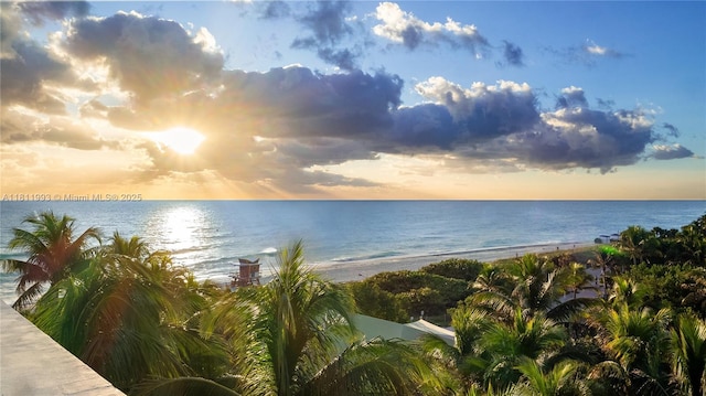 6515 Collins Ave Unit 605, Miami Beach, FL 33141 - photo 16