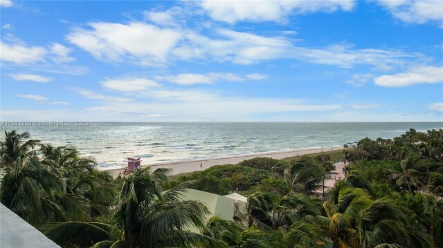6515 Collins Ave Unit 605, Miami Beach, FL 33141 - photo 19