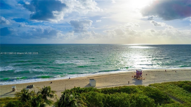 6515 Collins Ave Unit 605, Miami Beach, FL 33141 - photo 39