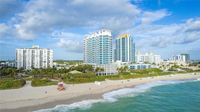 6515 Collins Ave Unit 605, Miami Beach, FL 33141 - photo 43