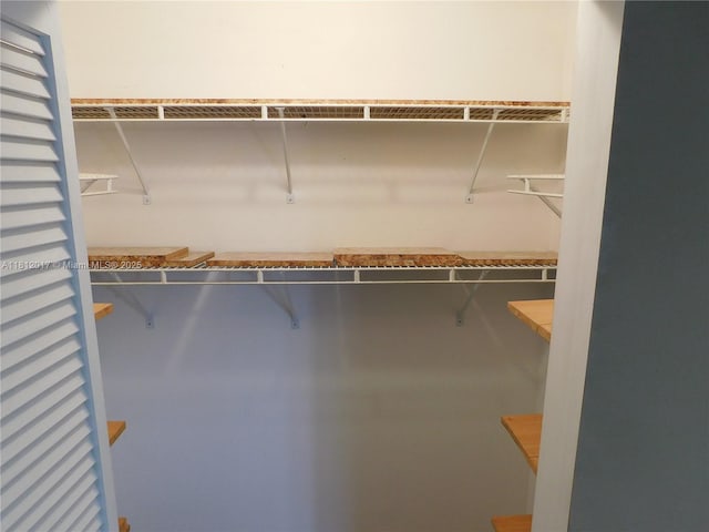 10823 SW 147th Ct, Miami, FL 33196 - view of walk in closet