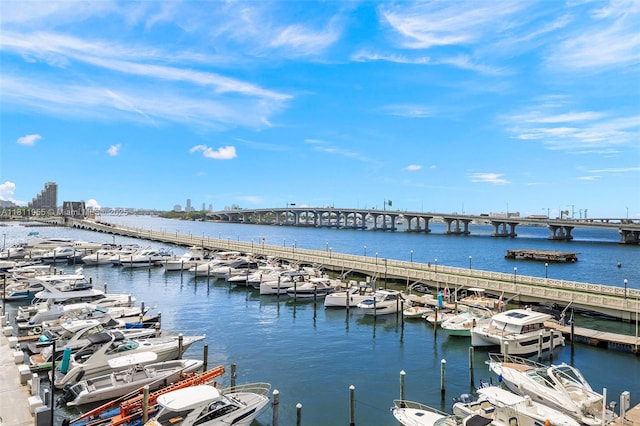 555 NE 15th St Unit 516, Miami, FL 33132 - water view with a notable bridge, numerous boat docks, and a dock