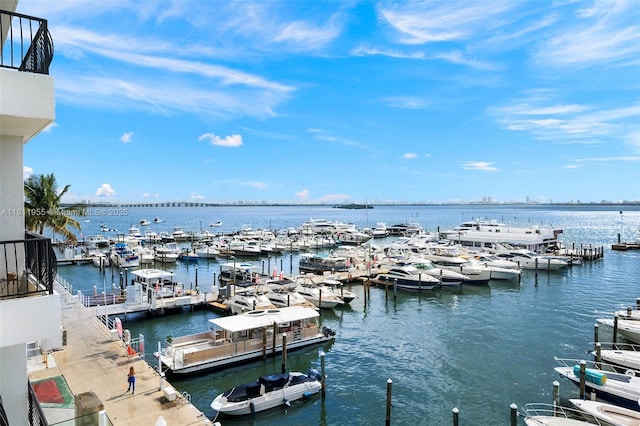 555 NE 15th St Unit 516, Miami, FL 33132 - water view with a marina and a boat dock