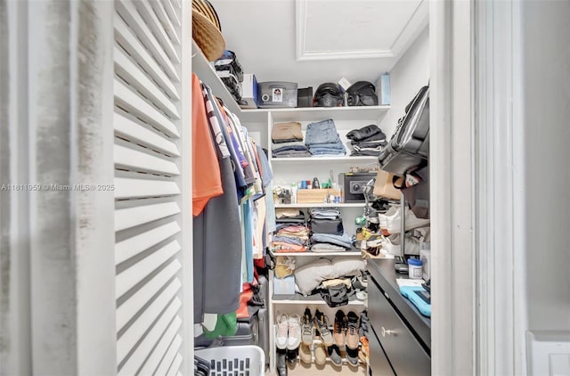 5651 SW 139th Pl, Miami, FL 33183 - walk in closet with attic access