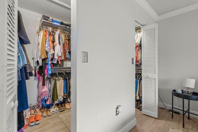 7251 SW 158th Pl, Miami, FL 33193 - view of closet