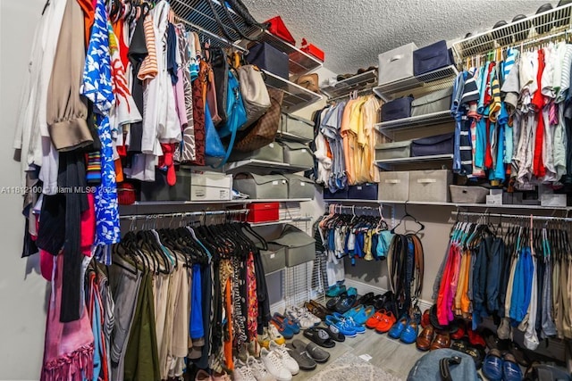 7251 SW 158th Pl, Miami, FL 33193 - view of spacious closet