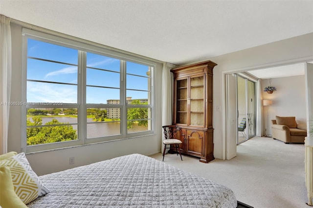 3091 N Course Dr Unit 502, Pompano Beach, FL 33069 - bedroom featuring light carpet and a water view