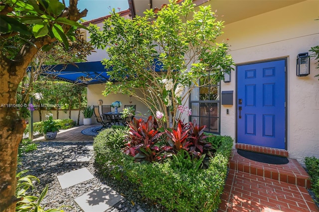 725 Biltmore Ct, Coral Gables, FL 33134 - doorway to property with stucco siding and a patio area