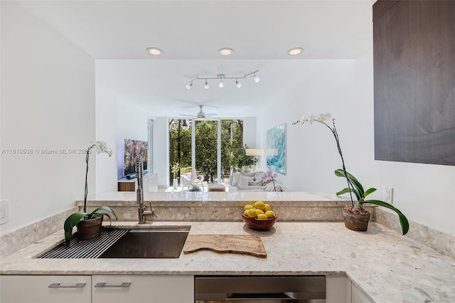 3001 SW 27th Ave Unit 201, Miami, FL 33133 - kitchen featuring a sink, stainless steel dishwasher, light stone counters, ceiling fan, and open floor plan