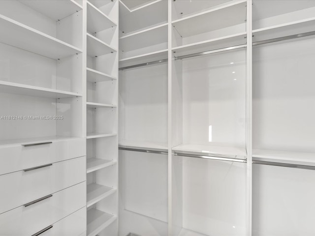 401 Bontona Ave, Fort Lauderdale, FL 33301 - view of spacious closet