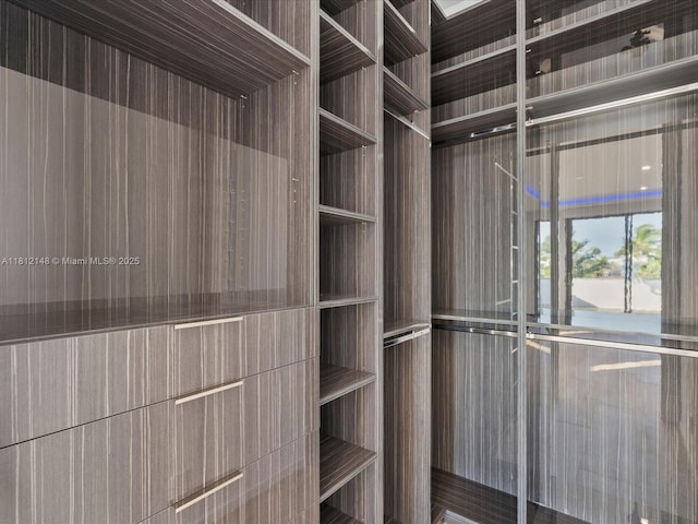 401 Bontona Ave, Fort Lauderdale, FL 33301 - view of walk in closet