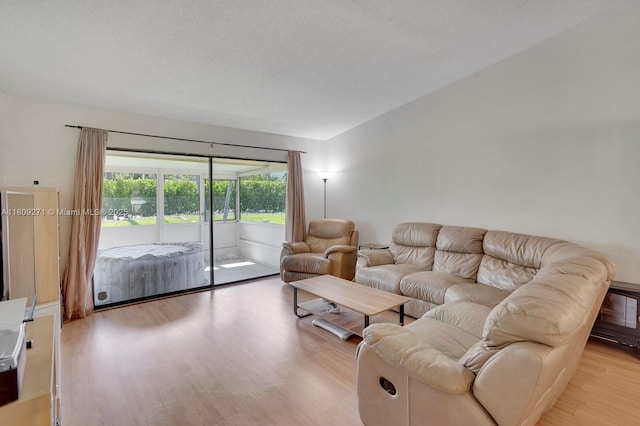 10 Afton Pl, Boynton Beach, FL 33426 - living room featuring light wood finished floors