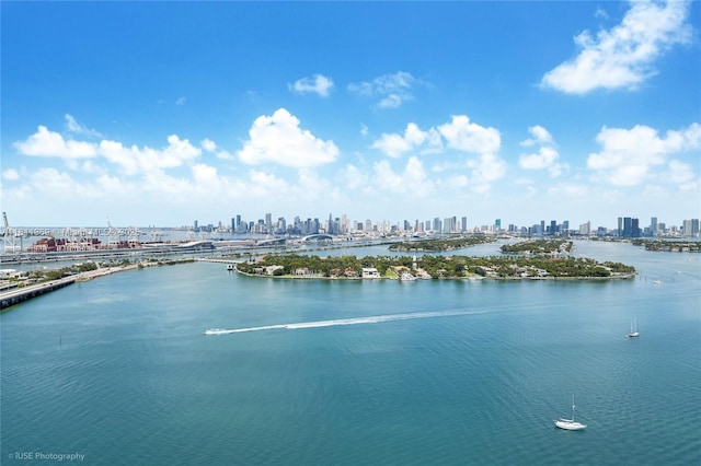 650 W Ave Unit Ph09, Miami Beach, FL 33139 - water view with city skyline
