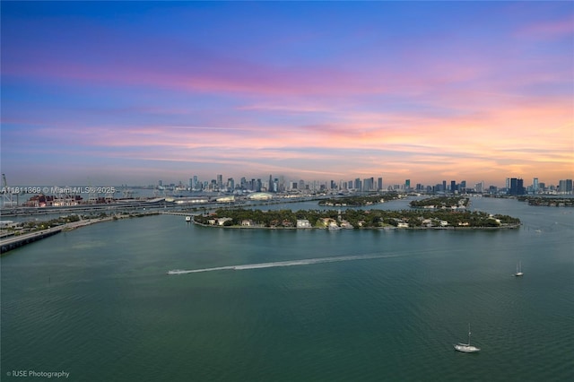 650 W Ave Unit Ph09, Miami Beach, FL 33139 - water view featuring skyline