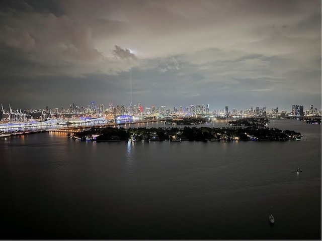 650 W Ave Unit Ph09, Miami Beach, FL 33139 - water view featuring a view of city lights