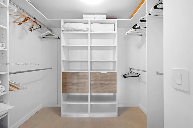 650 NE 32nd St Unit 2502, Miami, FL 33137 - view of spacious closet