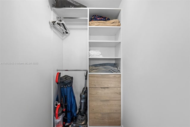 650 NE 32nd St Unit 2502, Miami, FL 33137 - view of spacious closet