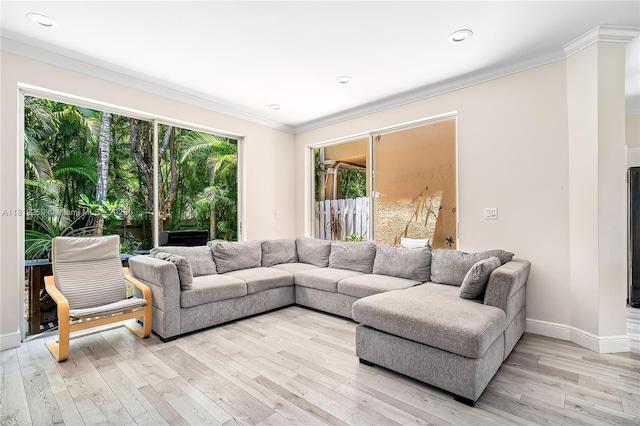 21024 NE 34th Ct, Aventura, FL 33180 - living room with plenty of natural light, light wood-style floors, baseboards, ornamental molding, and recessed lighting