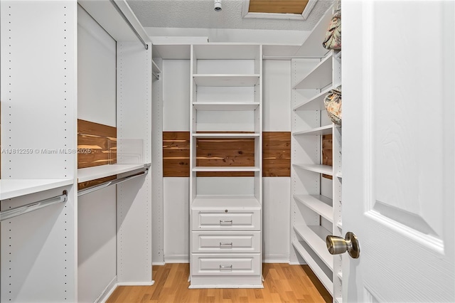 21024 NE 34th Ct, Aventura, FL 33180 - walk in closet with light wood-style floors