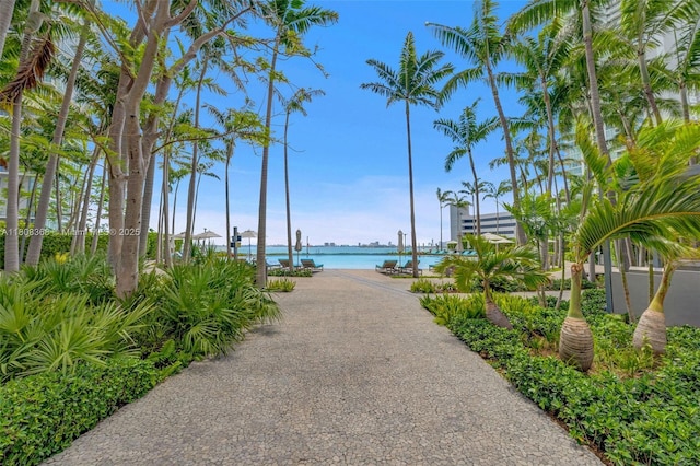650 NE 32nd St Unit 3708, Miami, FL 33137 - surrounding community featuring a water view
