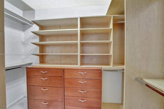 1709 Whitehall Dr Unit 401, Davie, FL 33324 - view of spacious closet