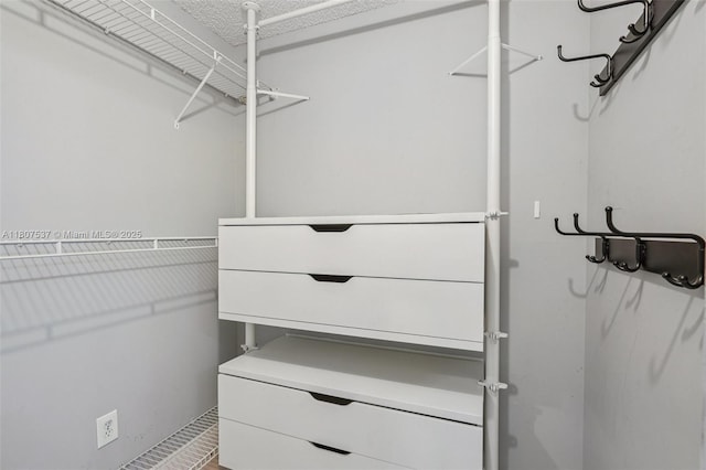 731 Briarwood Ter, Davie, FL 33325 - view of walk in closet