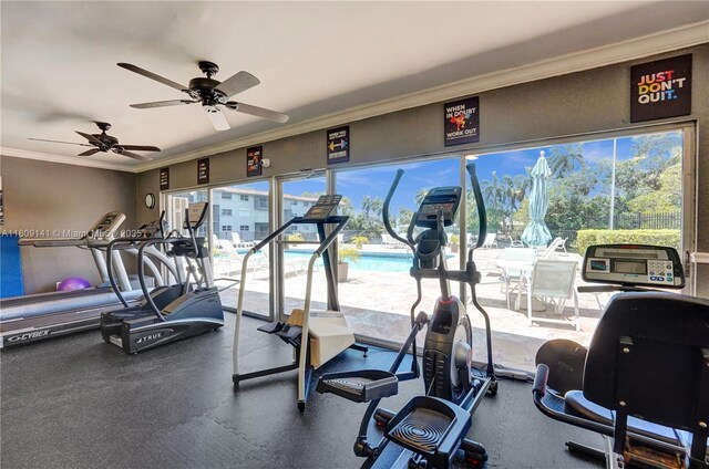 1775 N Andrews Sq Unit 104W, Fort Lauderdale, FL 33311 - workout area with crown molding, healthy amount of natural light, and a ceiling fan