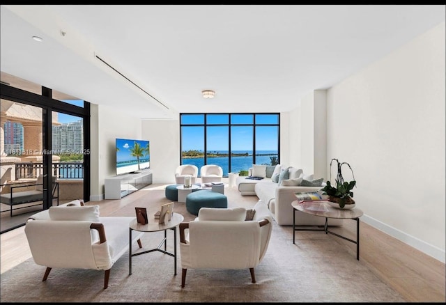 7055 Fisher Island Dr Unit 7055, Miami Beach, FL 33109 - living room featuring expansive windows, wood finished floors, and baseboards