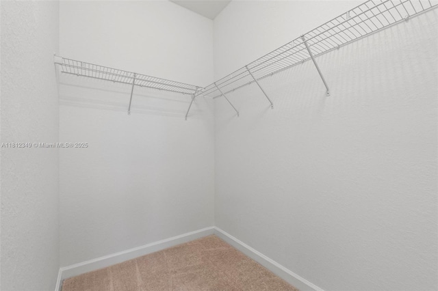 28569 SW 132nd Ct, Homestead, FL 33033 - spacious closet with carpet