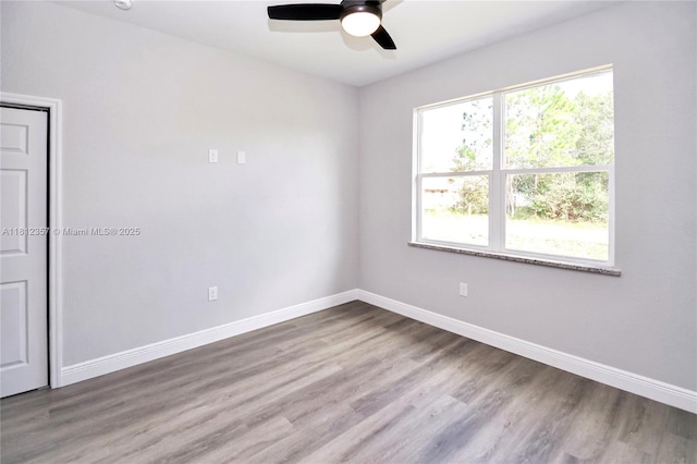 4510 Boabadilla Ave, Sebring, FL 33872 - photo 21