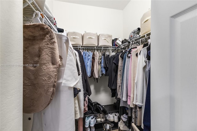 9214 W 33rd Ln, Hialeah, FL 33018 - view of spacious closet