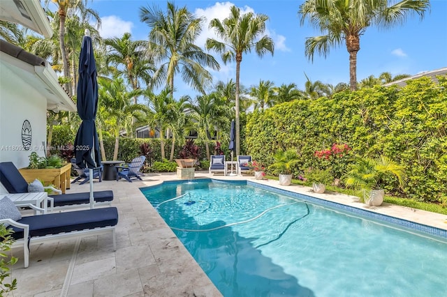 1220 Iris Ct, Weston, FL 33326 - view of pool featuring a patio