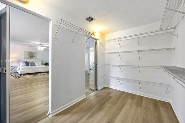 1906 Timberline Rd, Weston, FL 33327 - walk in closet with wood finished floors and a ceiling fan