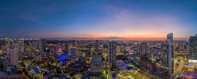 398 NE 5th St Unit 2704, Miami, FL 33132 - city view