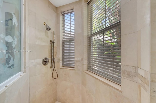 8244 Lakeview Dr, West Palm Beach, FL 33412 - bathroom featuring walk in shower