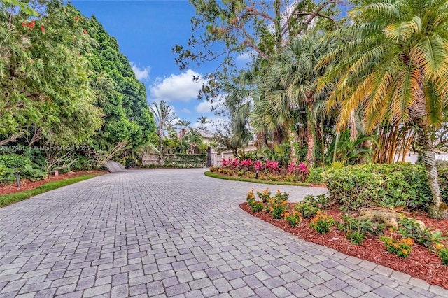 8244 Lakeview Dr, West Palm Beach, FL 33412 - view of community with curved driveway and a gate